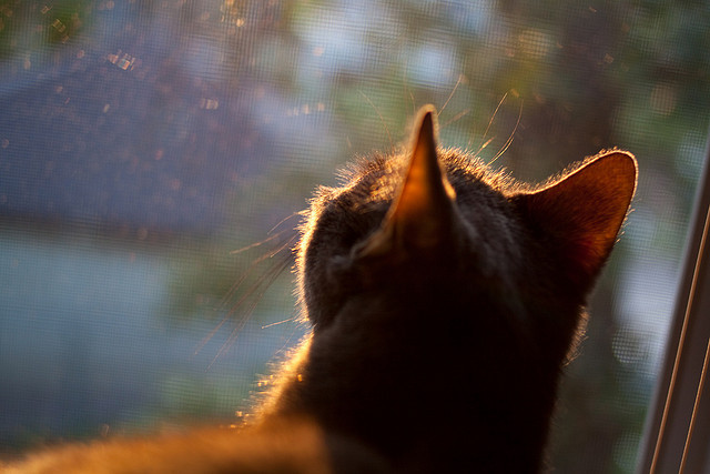 开云电子-_运动员的日常生活：如何平衡训练与休闲_，运动员怎么锻炼身体