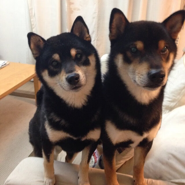 开云体育入口-天赋异禀：挡不住的赛场明星，天赋异禀的演员名单